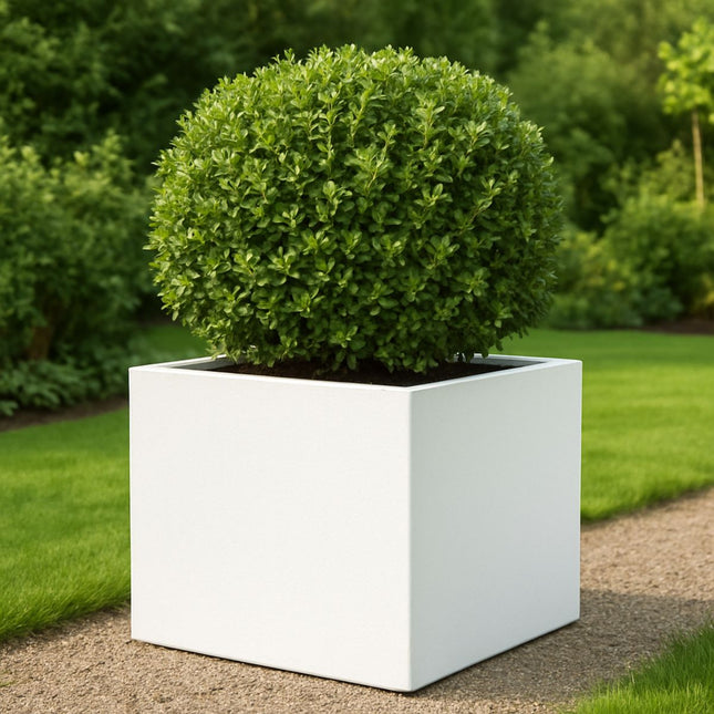 GARDRA Polyester plantenbak 80x80x60 cm - Zuiver Wit (RAL 9010) - Doika - Plantenbak - GARDRA -  - DOIKA-AP-05.1-RAL-9010