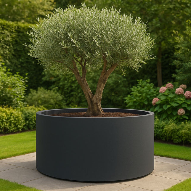 GARDRA Polyester plantenbak Ø 150x60 cm - Zwartgrijs (RAL 7021) - Doika - Plantenbak - GARDRA -  - DOIKA-FP-1-RAL-7021