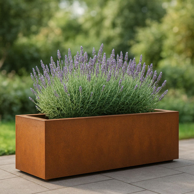 Langwerpige cortenstalen plantenbak met bodem 200x50x60 cm - Doika - Plantenbak - Geroba -  - ArtesaB17